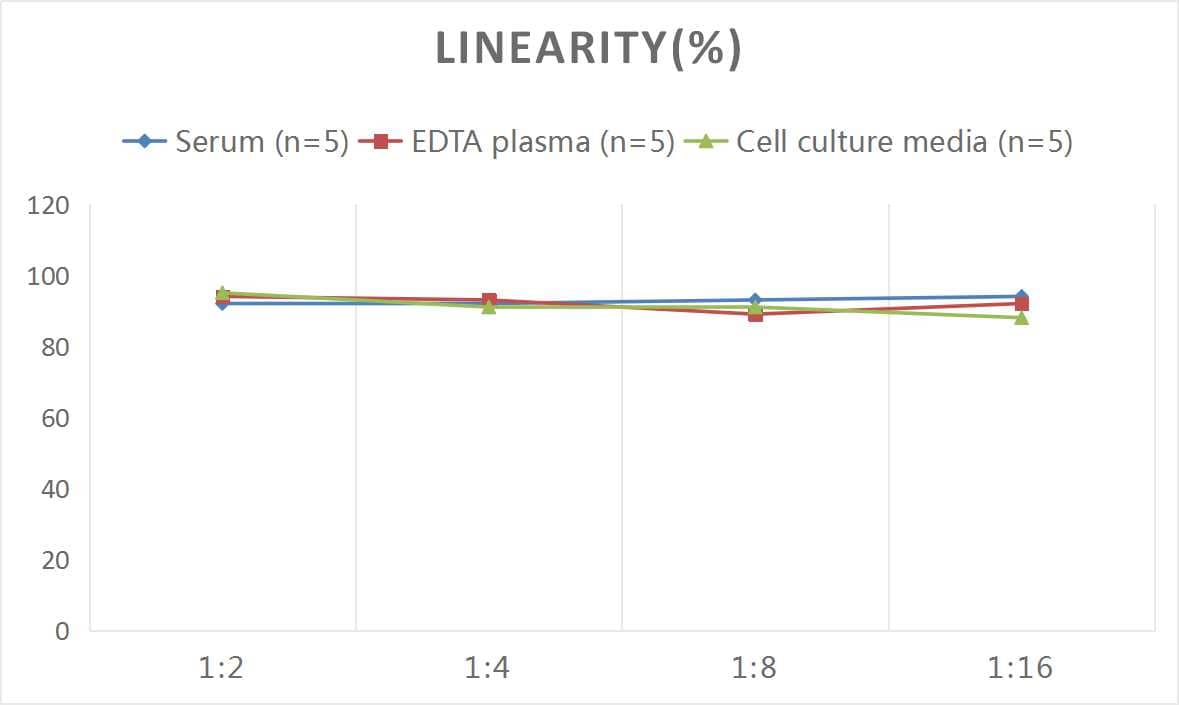 Rat CREB ELISA Kit (Colorimetric)