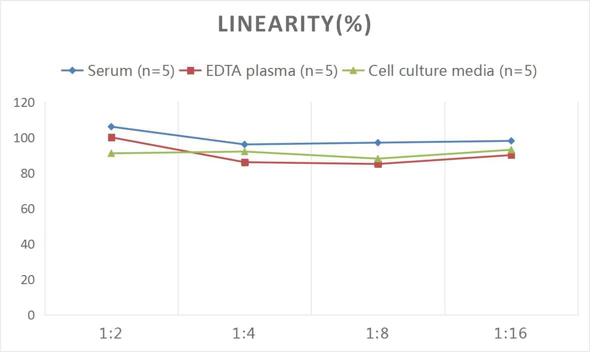 Mouse Cathepsin B ELISA Kit (Colorimetric)