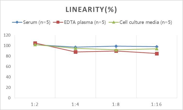 Rat Cathepsin B ELISA Kit (Colorimetric)