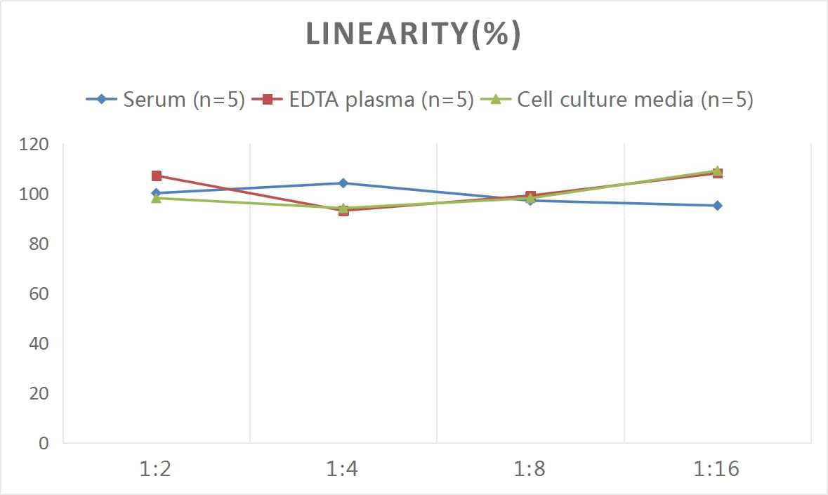 Human Cathepsin D ELISA Kit (Chemiluminescence)