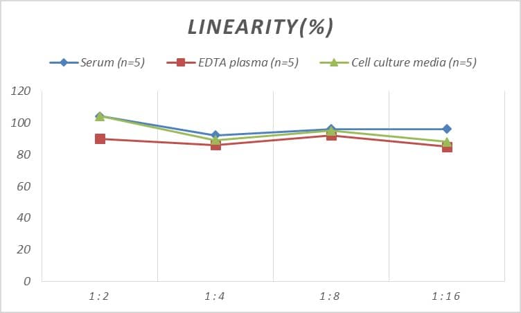 Human Dopamine D2R/DRD2 ELISA Kit (Colorimetric)