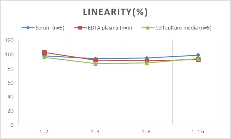 Human Dopamine D3R/DRD3 ELISA Kit (Colorimetric)