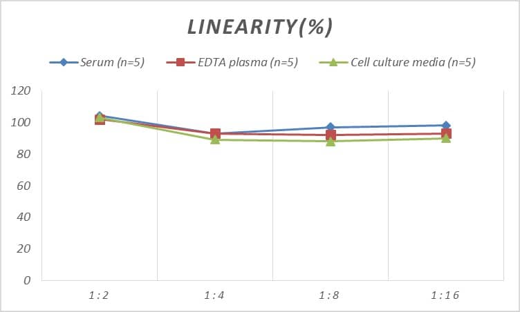 Human Dopamine D5R/DRD5 ELISA Kit (Colorimetric)