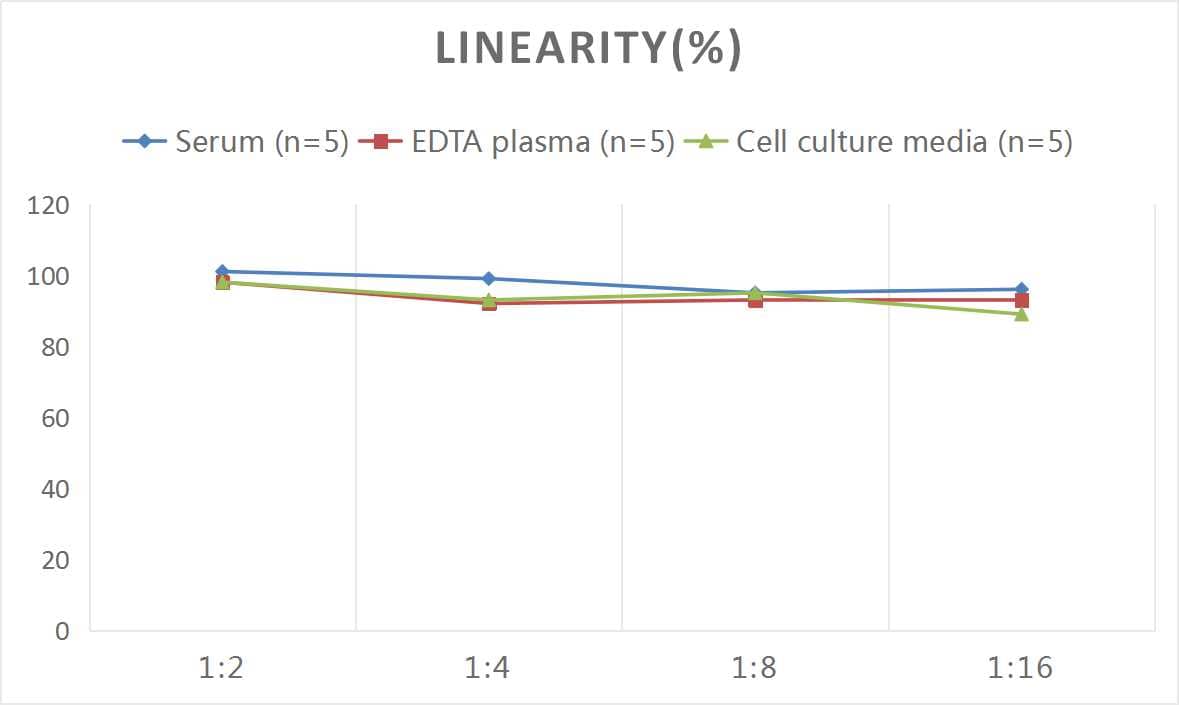 Rat SLC6A3/DAT1 ELISA Kit (Colorimetric)