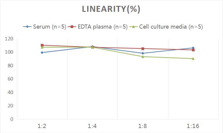 Rat Vitamin D BP ELISA Kit (Chemiluminescence)