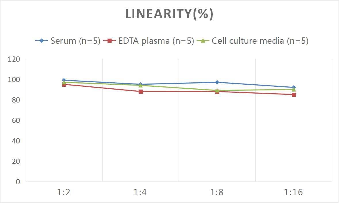 Rat Vitamin D BP ELISA Kit (Colorimetric)