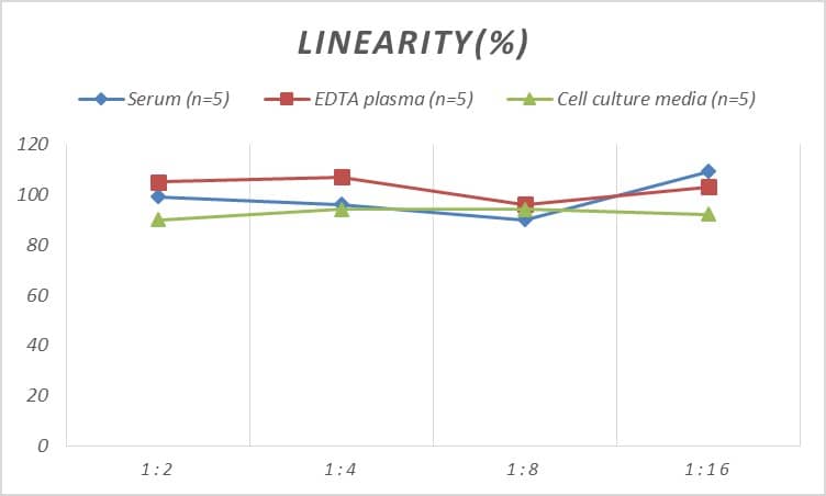 Human Dopa Decarboxylase/DDC ELISA Kit (Chemiluminescence)