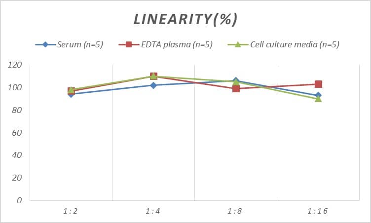 Rat Dopamine D1R/DRD1 ELISA Kit (Chemiluminescence)