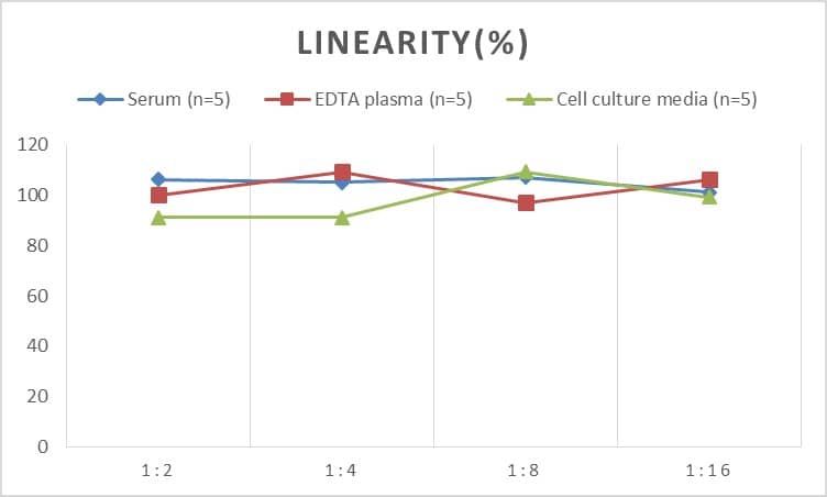 Rat Dopamine D2R/DRD2 ELISA Kit (Chemiluminescence)