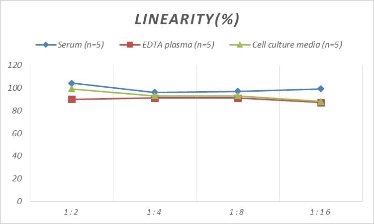 Rat Dopamine D2R/DRD2 ELISA Kit (Colorimetric)