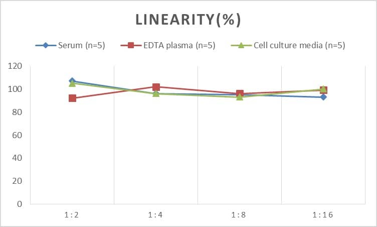 Rat Dopamine D3R/DRD3 ELISA Kit (Chemiluminescence)