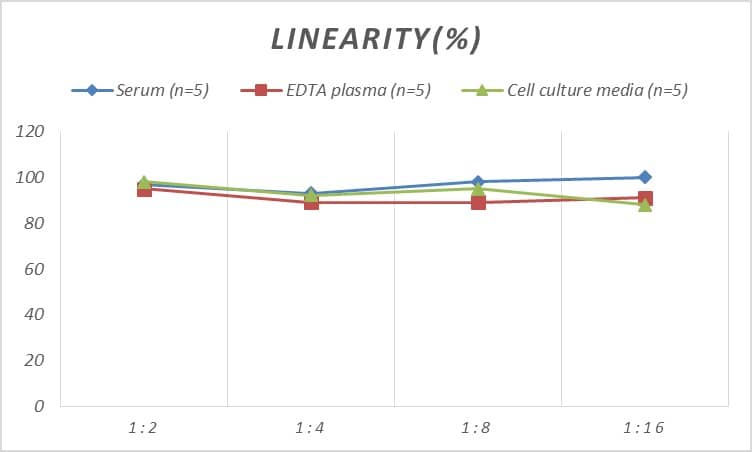 Rat Dopamine D3R/DRD3 ELISA Kit (Colorimetric)