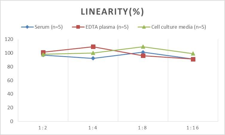 Rat Dopamine Receptor D4 ELISA Kit (Chemiluminescence)