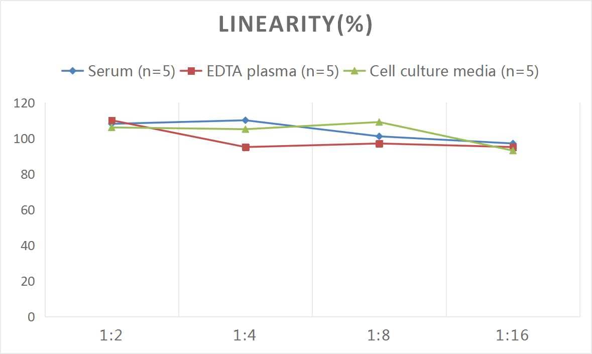 Mouse E-Cadherin ELISA Kit (Chemiluminescence)