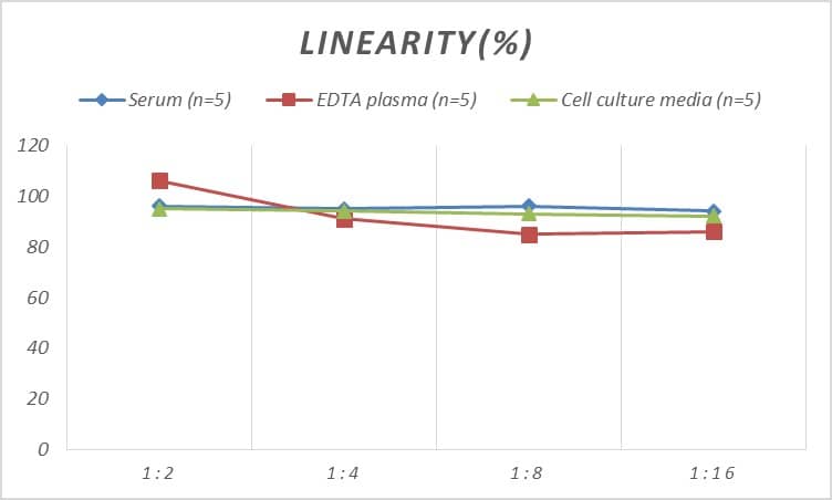 Mouse Erythropoietin R ELISA Kit (Colorimetric)