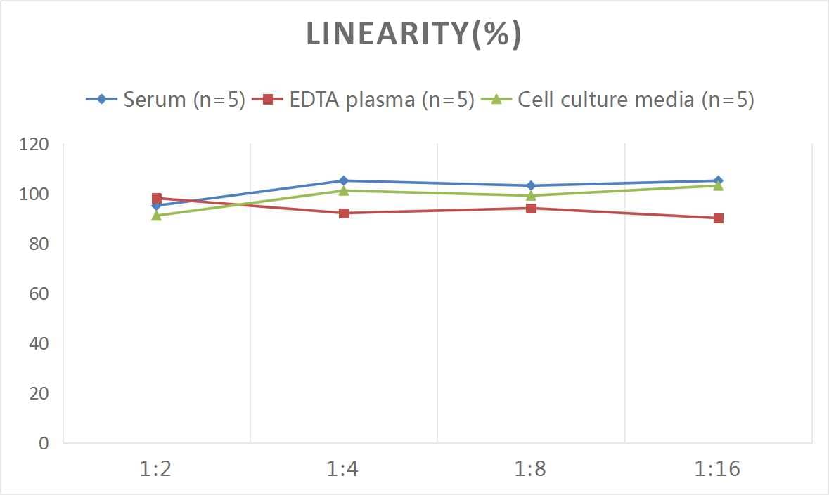 Mouse Ferritin ELISA Kit (Colorimetric)