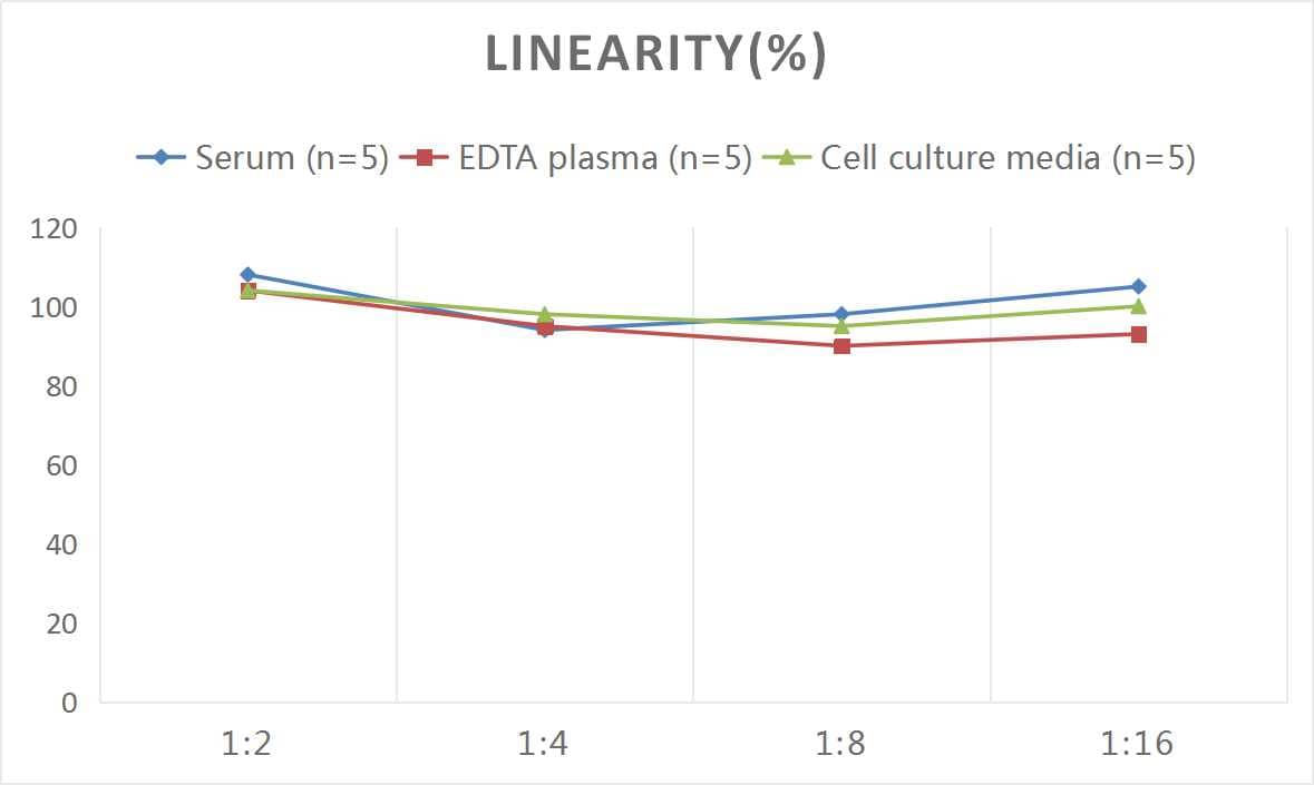 Human Fibrinogen beta chain ELISA Kit (Chemiluminescence)