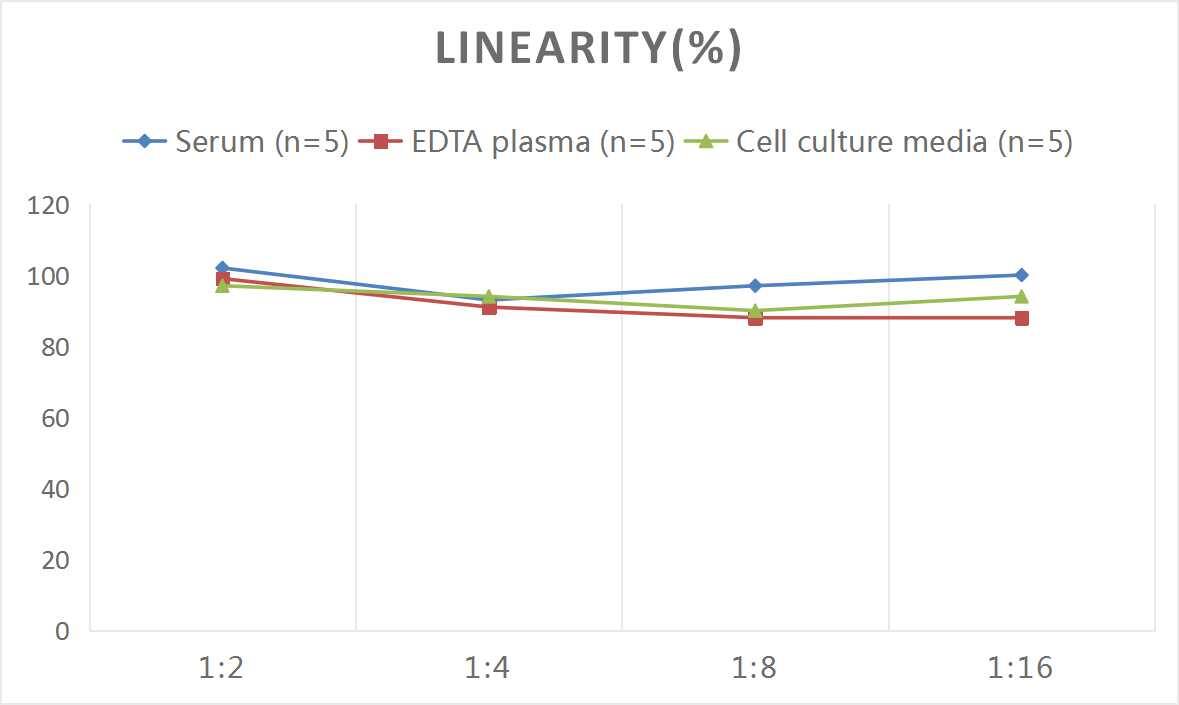 Human Fibrinogen beta chain ELISA Kit (Colorimetric)