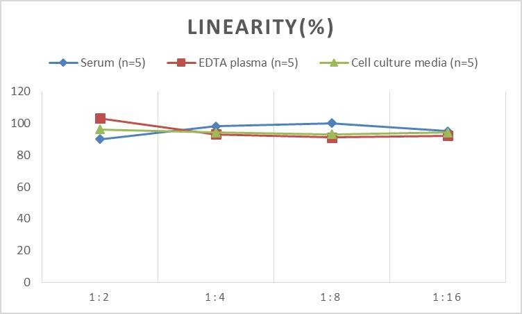 Rat FLRT2 ELISA Kit (Colorimetric)