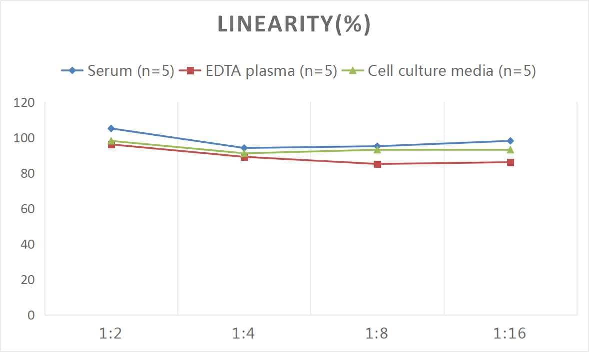 Rat Fibronectin ELISA Kit (Colorimetric)