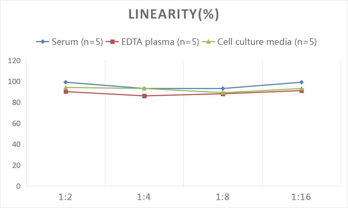 Rat Irisin/FNDC5 ELISA Kit (Colorimetric)