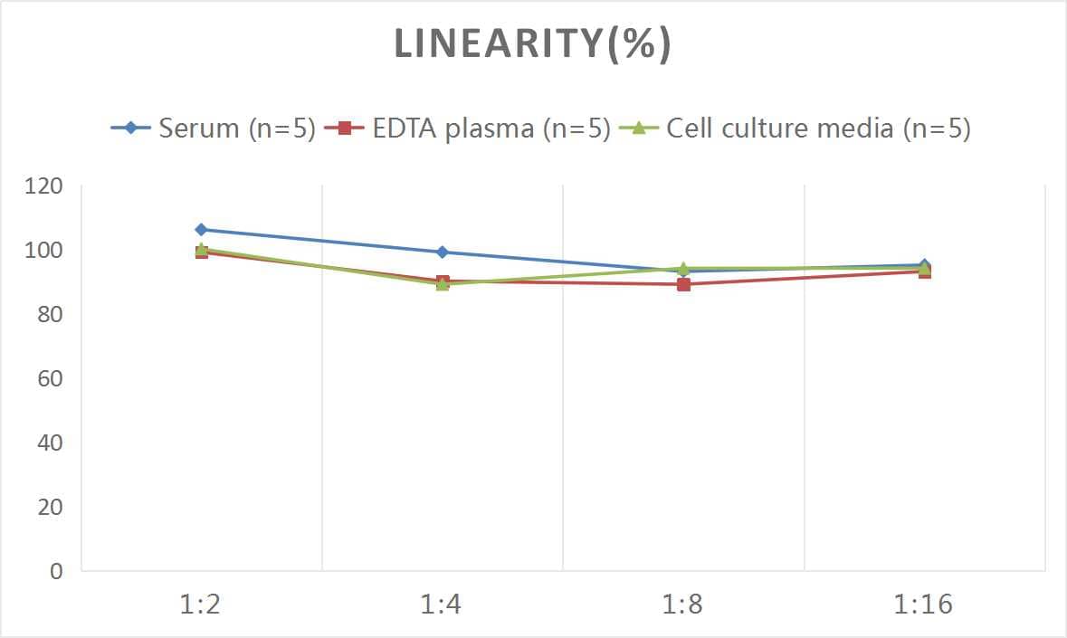 Mouse Ferritin Heavy Chain ELISA Kit (Colorimetric)