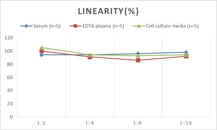 Rat Ferritin Heavy Chain ELISA Kit (Colorimetric)