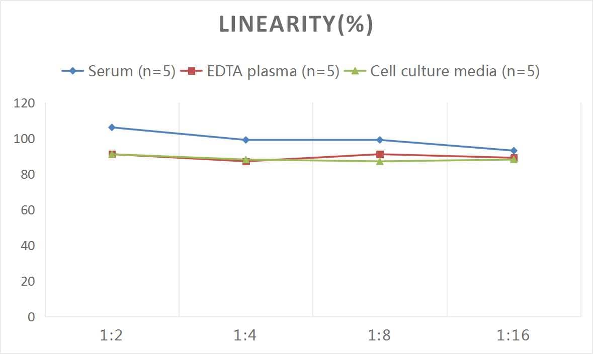 Human Furin ELISA Kit (Colorimetric)