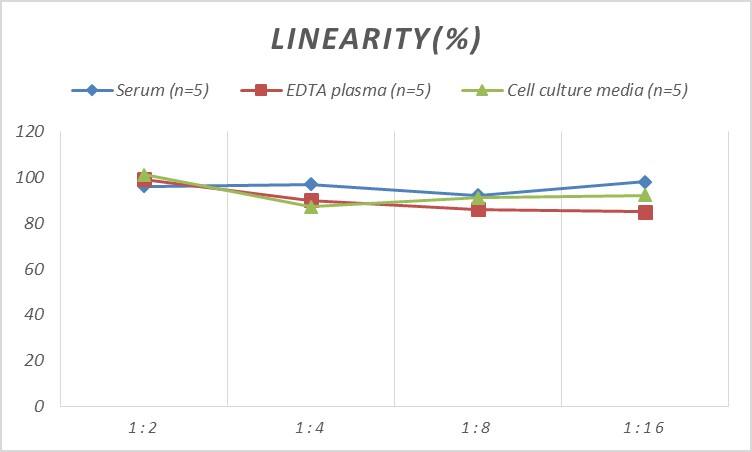 Mouse GAD2/GAD65 ELISA Kit (Colorimetric)