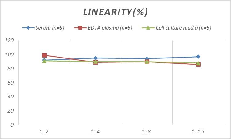 Rat GAD2/GAD65 ELISA Kit (Colorimetric)