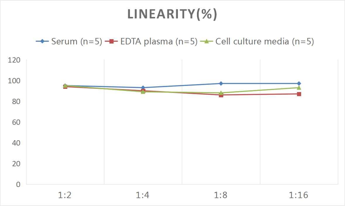 Mouse Galectin-1 ELISA Kit (Colorimetric)