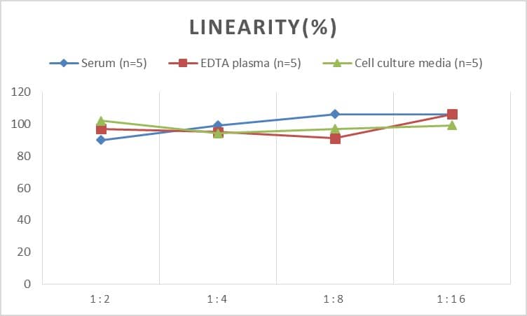 Human Glucokinase/GCK ELISA Kit (Chemiluminescence)