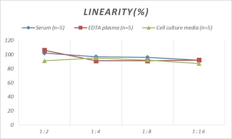 Mouse Glucokinase/GCK ELISA Kit (Colorimetric)