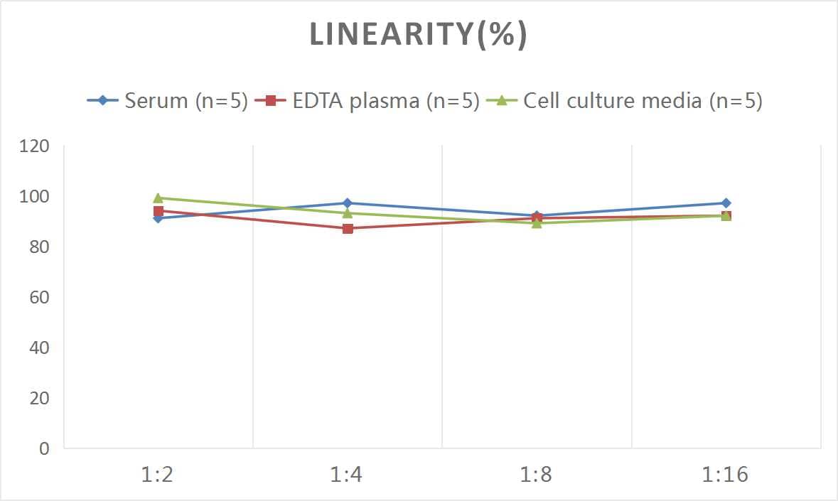 Rat Glucokinase/GCK ELISA Kit (Colorimetric)