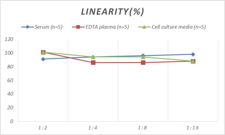 Rat GCLM ELISA Kit (Colorimetric)