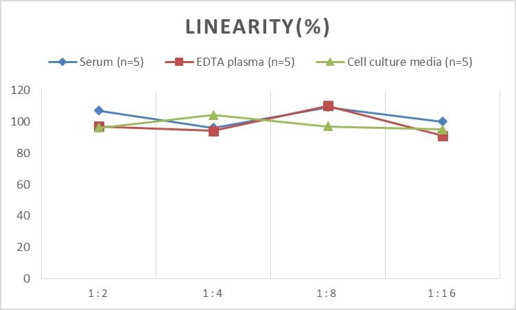 Rat Glutamate Dehydrogenase ELISA Kit (Chemiluminescence)