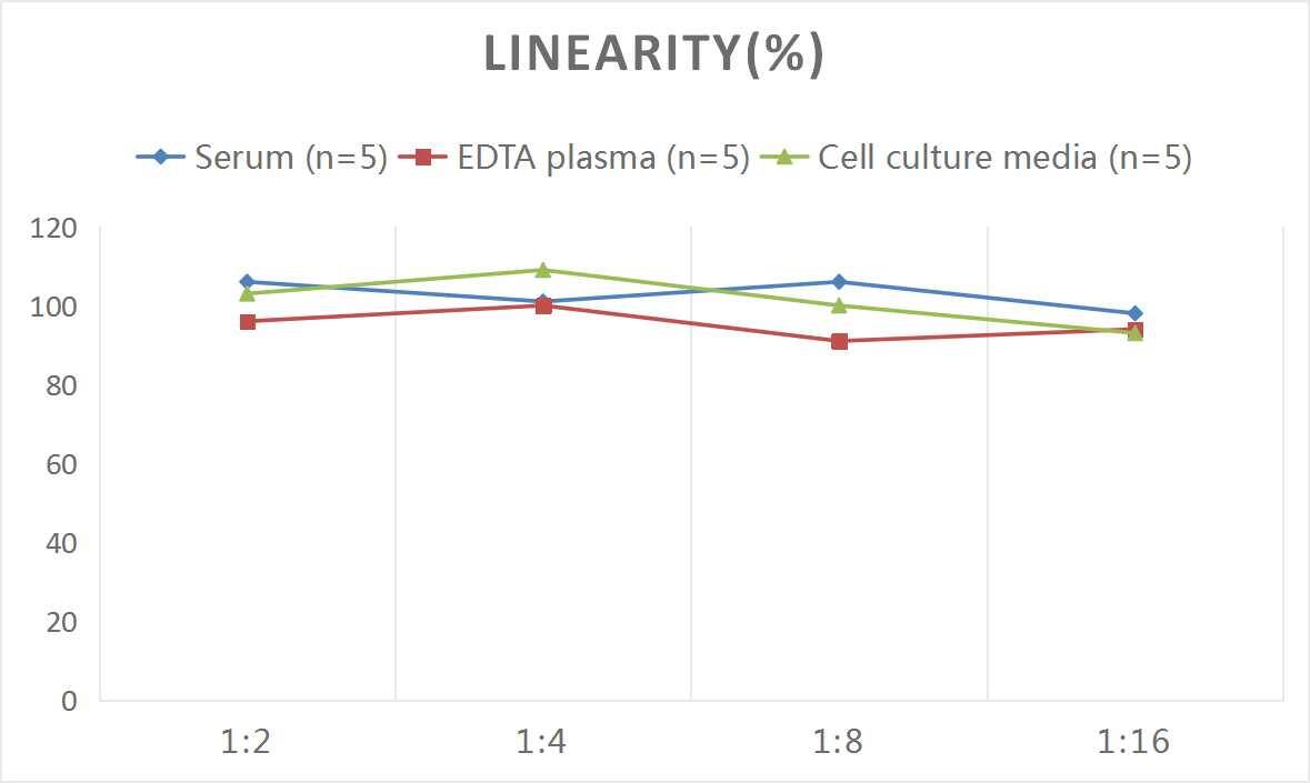 Human Growth Hormone 2 ELISA Kit (Chemiluminescence)