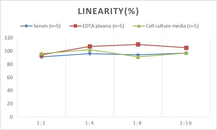 Human Tie-1 ELISA Kit (Chemiluminescence)