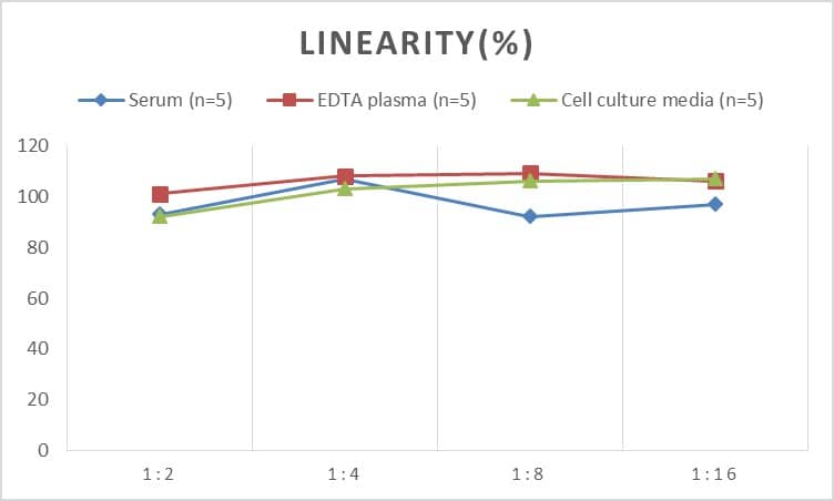 Human GHITM ELISA Kit (Chemiluminescence)