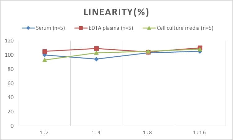 Human GIF ELISA Kit (Chemiluminescence)