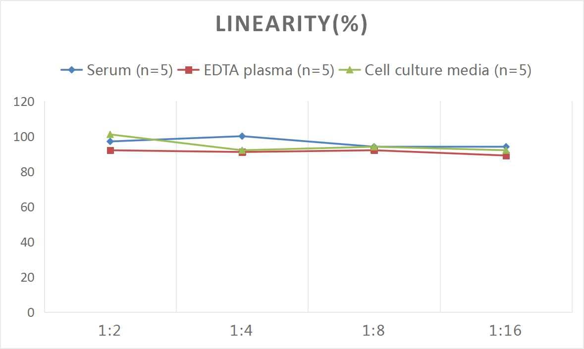 Mouse Glutamate Dehydrogenase ELISA Kit (Colorimetric)