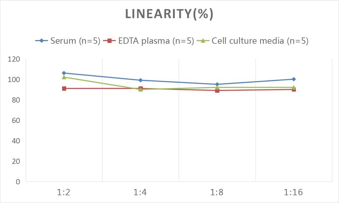 Rat GM-CSF ELISA Kit (Colorimetric)