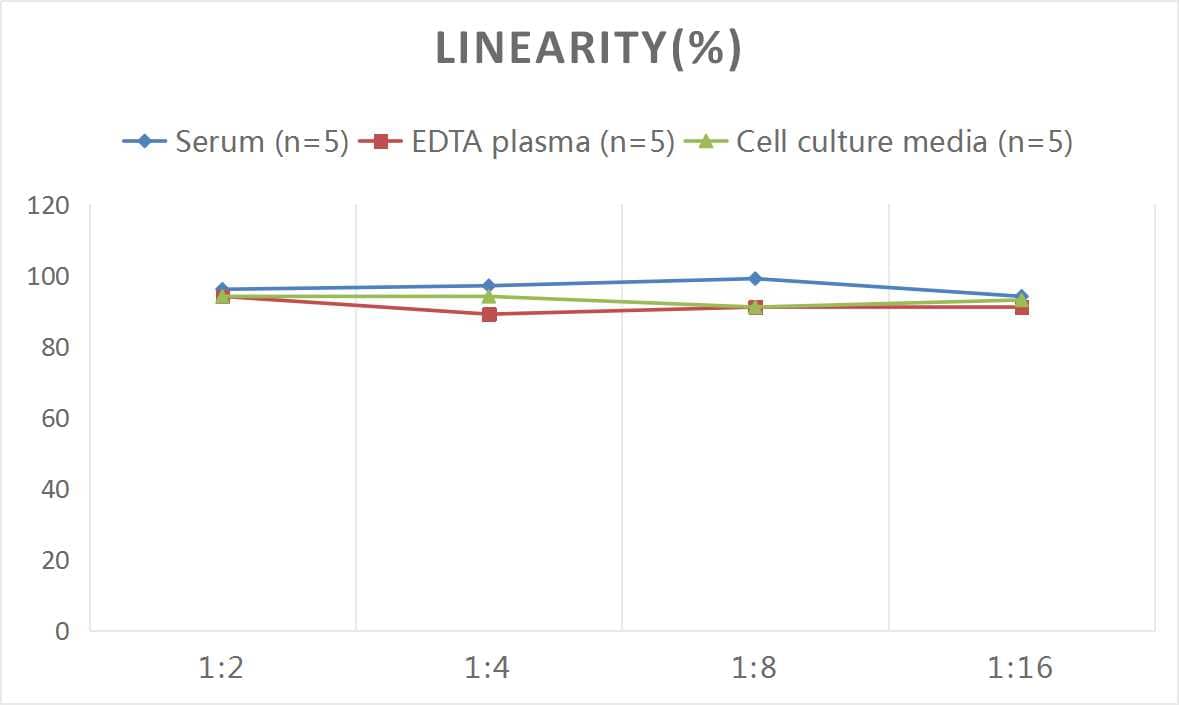 Human GluR1 ELISA Kit (Colorimetric)