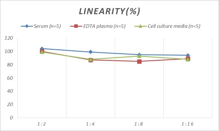 Rat GluR1 ELISA Kit (Colorimetric)