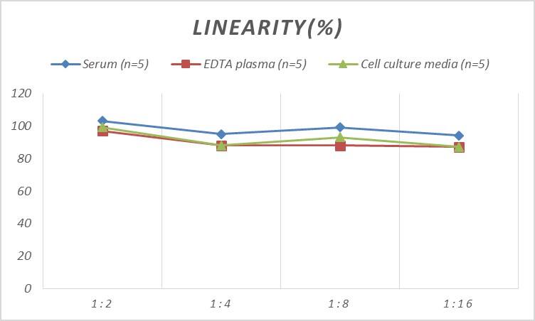 Rat Glutamate Receptor 6 ELISA Kit (Colorimetric)