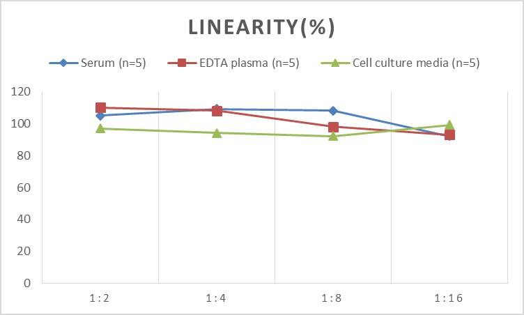 Rat GSTA1 ELISA Kit (Chemiluminescence)