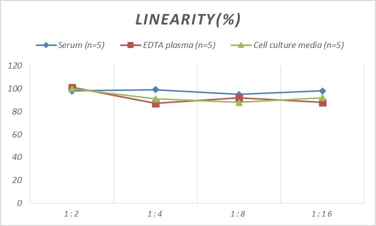 Rat GSTA1 ELISA Kit (Colorimetric)