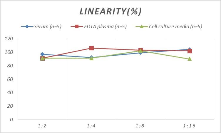 Rat Hemopexin ELISA Kit (Chemiluminescence)