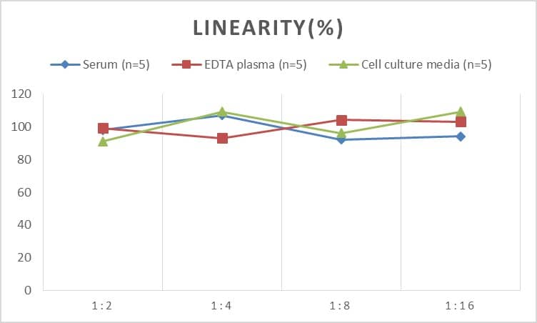 Human Insulysin/IDE ELISA Kit (Chemiluminescence)