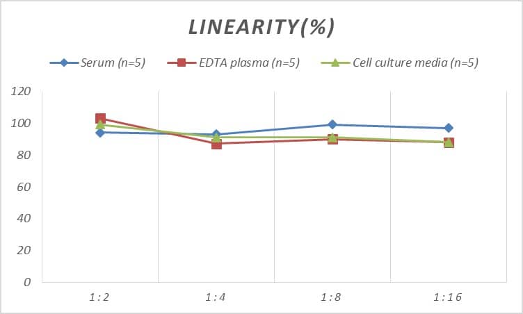 Rat Insulysin/IDE ELISA Kit (Colorimetric)